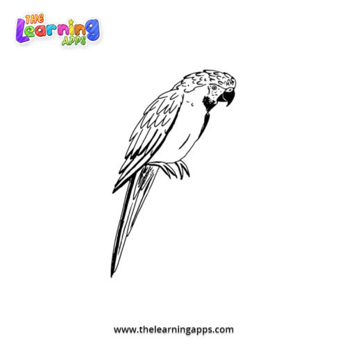 Macaw-parrot Coloring Worksheet