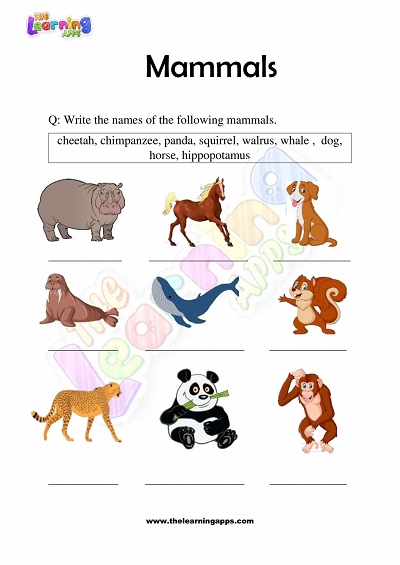Mammals-Worksheets-Grade-3-Activity-2