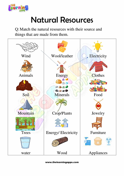 Natural-Resources-Worksheets-for-Grade 3-Activity-2