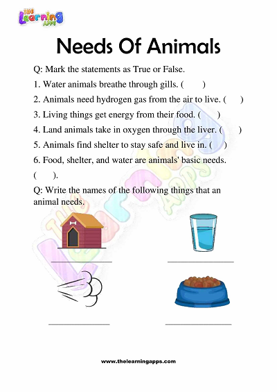Needs of Animals Worksheets for Grade 3 – Activity 3