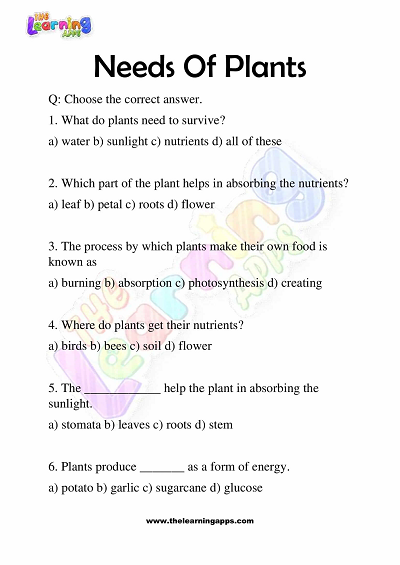 Needs of Plants Worksheets for Grade 3 – Activity 1