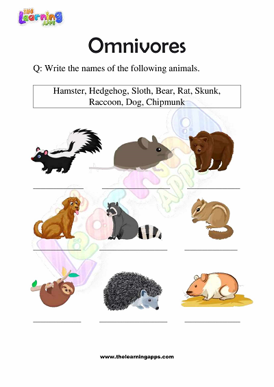 Download Free Printable Omnivores Worksheets for Grade 3