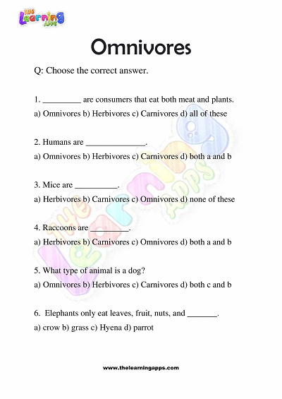 Omnivores Worksheets for Grade 3 – Activity 3