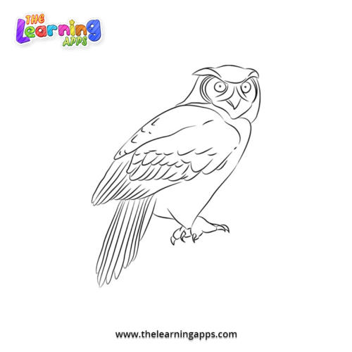 Owl Coloring Worksheet