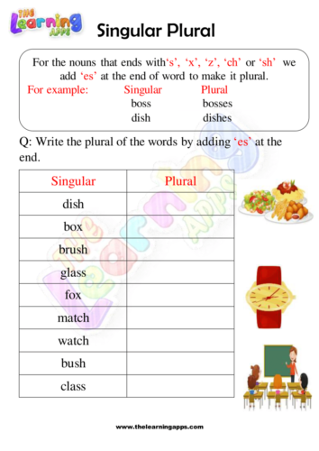 Plurals Worksheets 03