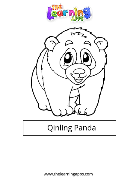 Qinling-Panda