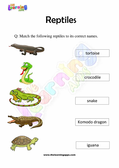 Reptiles Worksheets for Grade 3 – Activity 2
