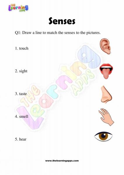 Senses Worksheet - Grade 2 - Activity 1