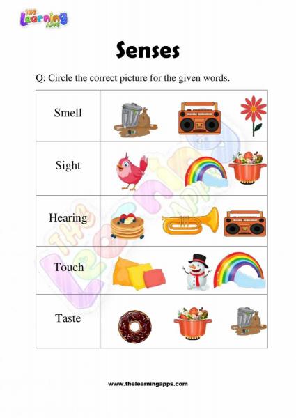Senses Worksheet - Grade 2 - Activity 6