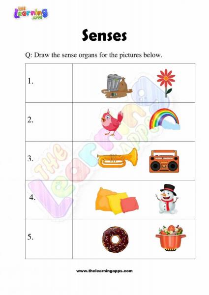 Senses Worksheet - Grade 2 - Activity 7