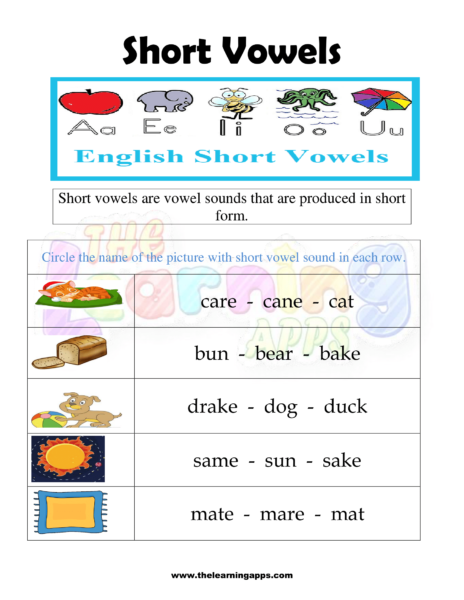 Short vowels Worksheet 10