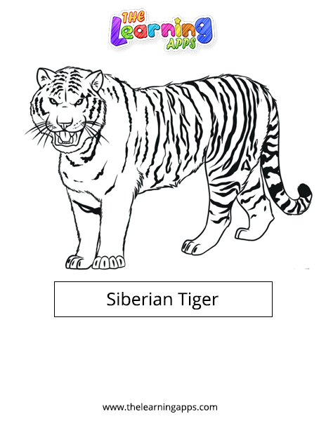 Τίγρης της Σιβηρίας