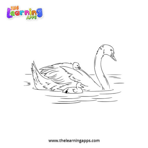 Swan Coloring Worksheet