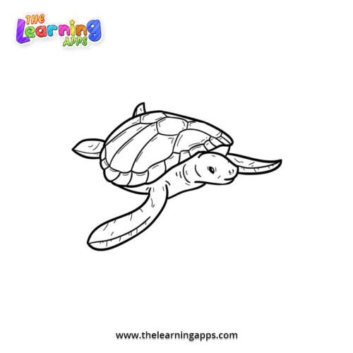 Feuille de coloriage de tortue