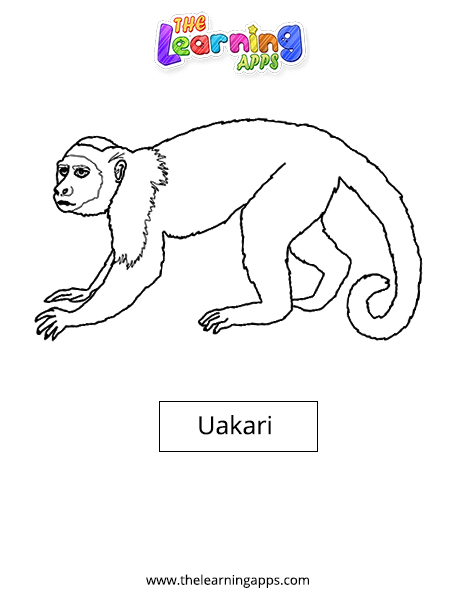 Uakarí