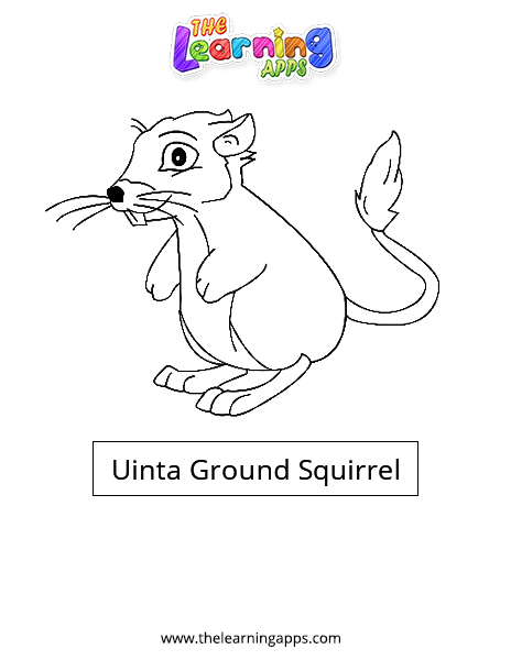 Uinta-Ground-Squirrel