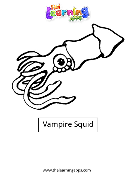 Calamar Vampiro