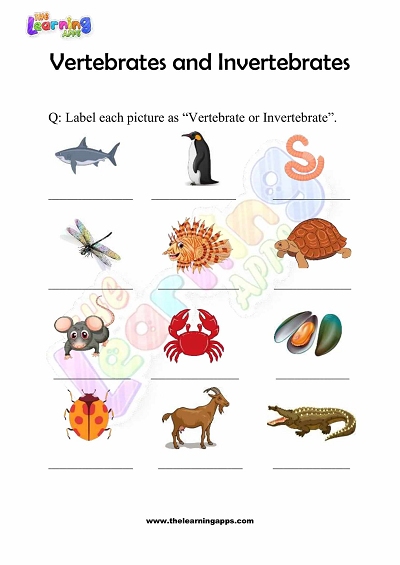 Vertebrates-and-Invertebrates-Worksheets-Grade-3-Activity-2