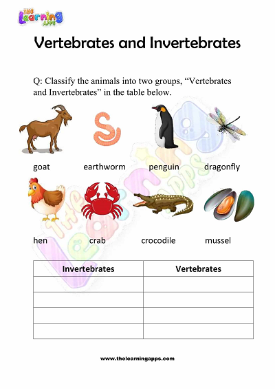 Vertebrates-and-Invertebrates-Worksheets-Grade-3-Activity-3
