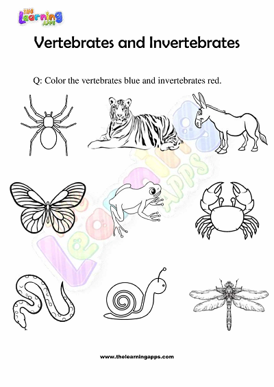 Vertebrates-and-Invertebrates-Worksheets-Grade-3-Activity-5