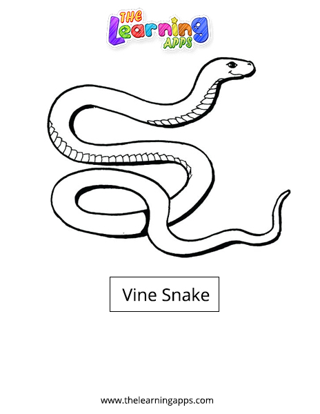 Виноградная змея