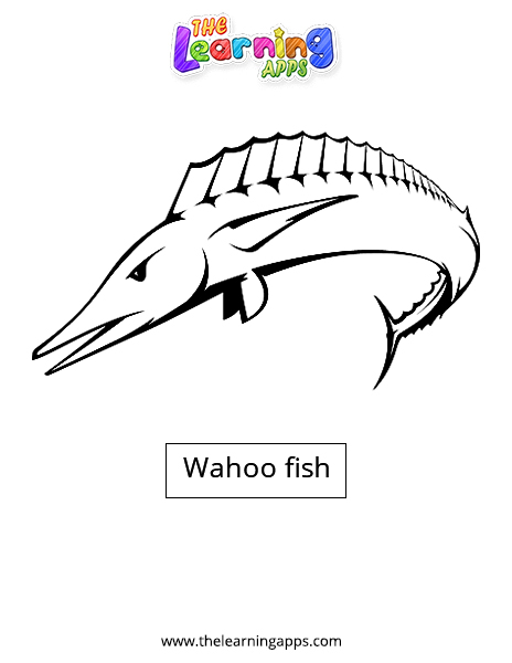 Wahoo fisk