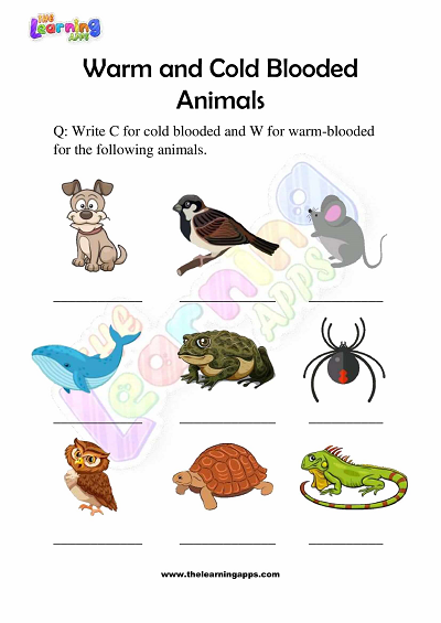 Free Warm and Cold Blooded Animals Worksheets for Grade 3