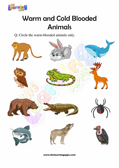 Warm-and-Cold-Blooded-Animals-Worksheets-Grade-3-Activity-5