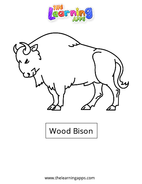 Деревянный бизон