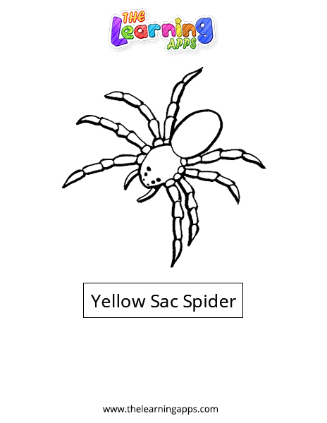 Araña de saco amarillo