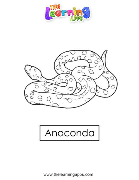 anaconda 02