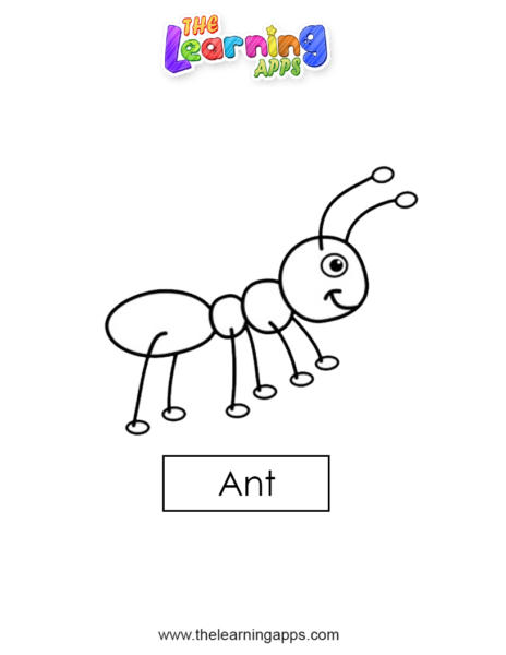 蚂蚁 06