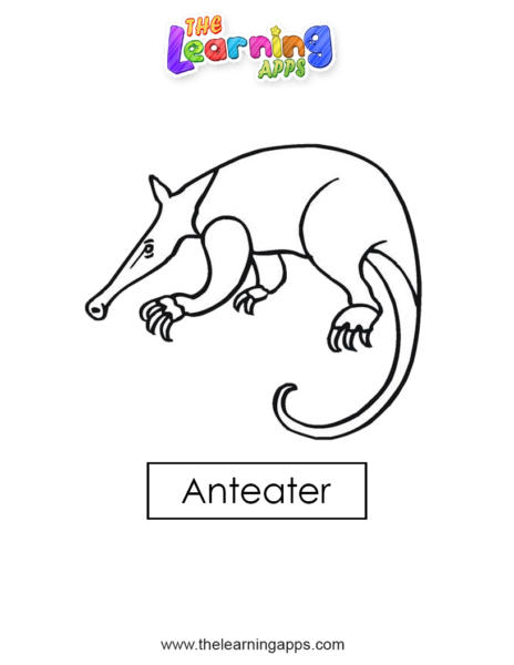 anteater 08