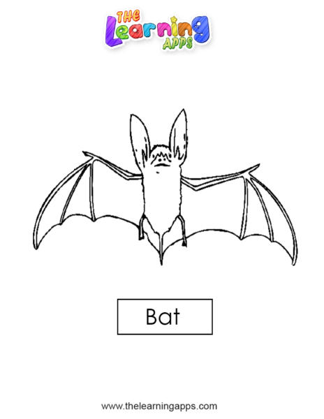 蝙蝠05