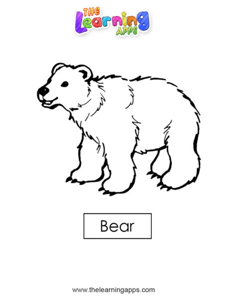 медведь 02