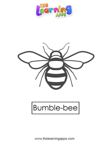 bumble-bee 04