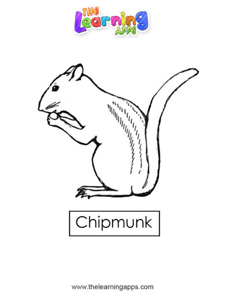 chipmunk