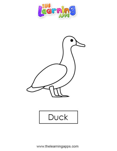 duck 03