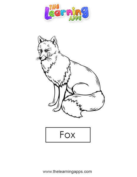 fox 04
