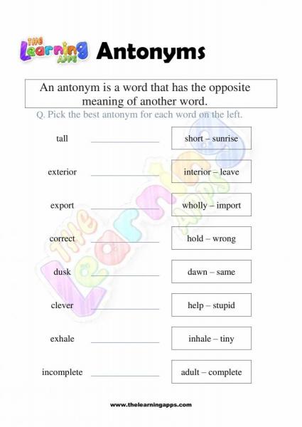 Antonyms-Worksheet-08