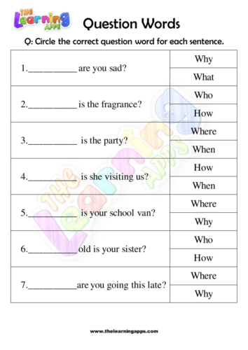 Question Word Worksheet 03